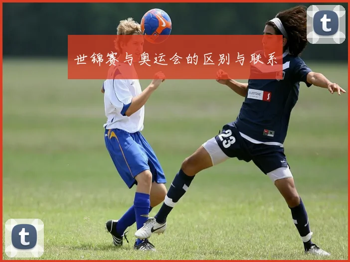 世锦赛与奥运会的区别与联系
