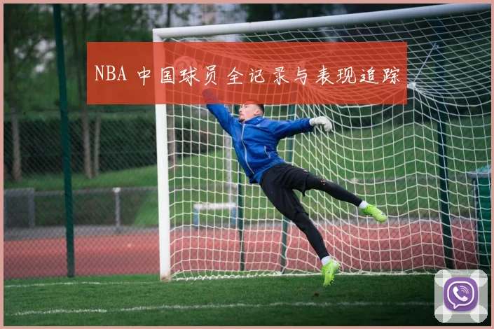 NBA 中国球员全记录与表现追踪
